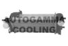 AUTOGAMMA 107485 Intercooler, charger